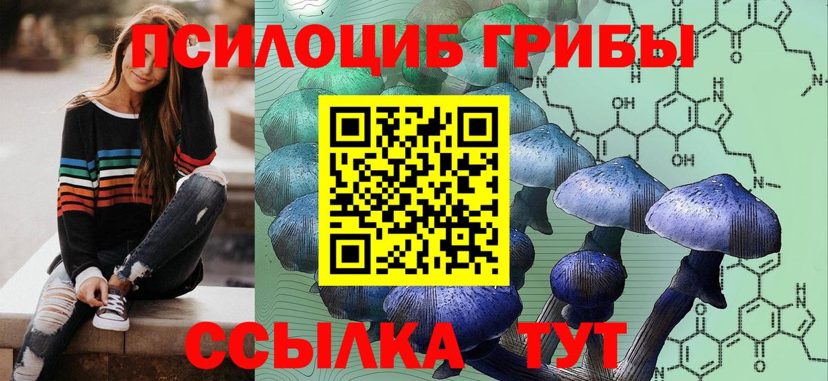 Галлюциногенные грибы Cubensis  как найти закладки  Советская Гавань  Вход с VPN 